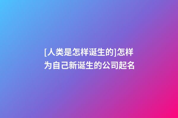 [人类是怎样诞生的]怎样为自己新诞生的公司起名